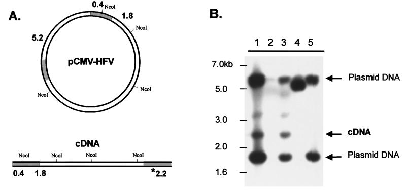 FIG. 5.