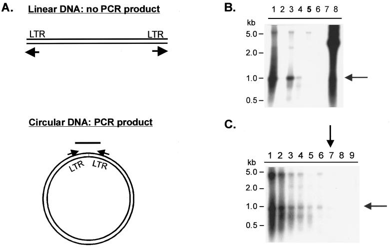 FIG. 4.