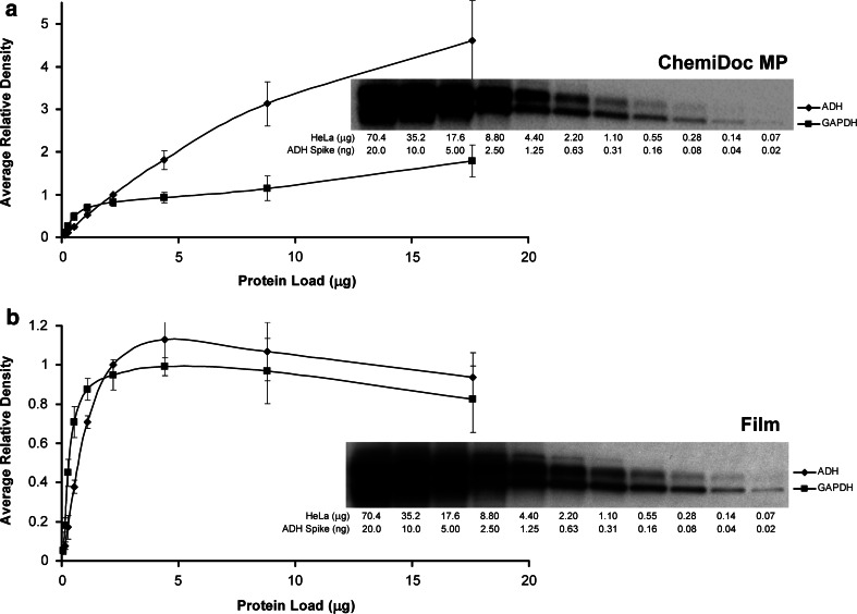 Fig. 3