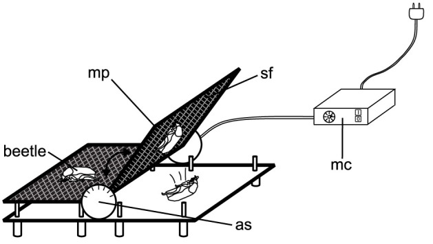 Figure 8