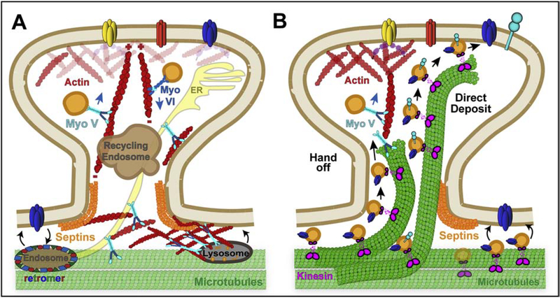 Figure 5.