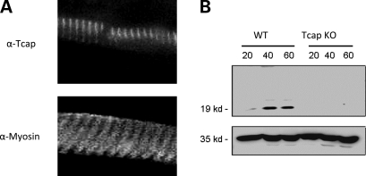 Figure 2.