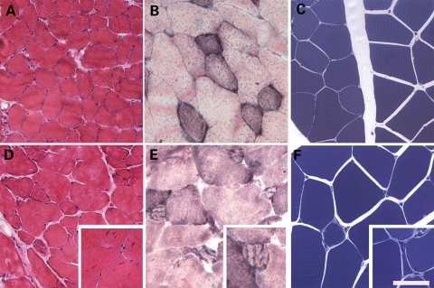 Figure 3.