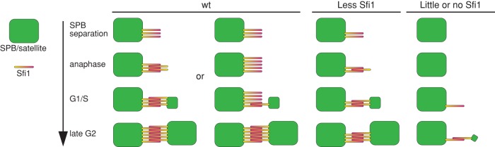 FIGURE 8: