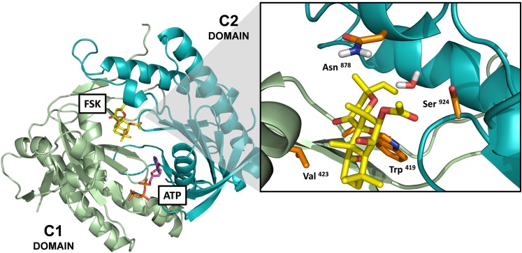 Fig. 6.