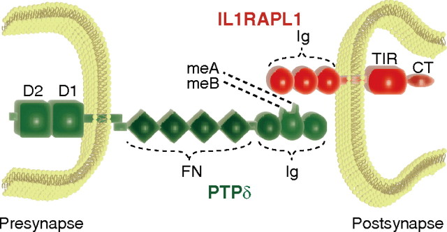 Figure 10.