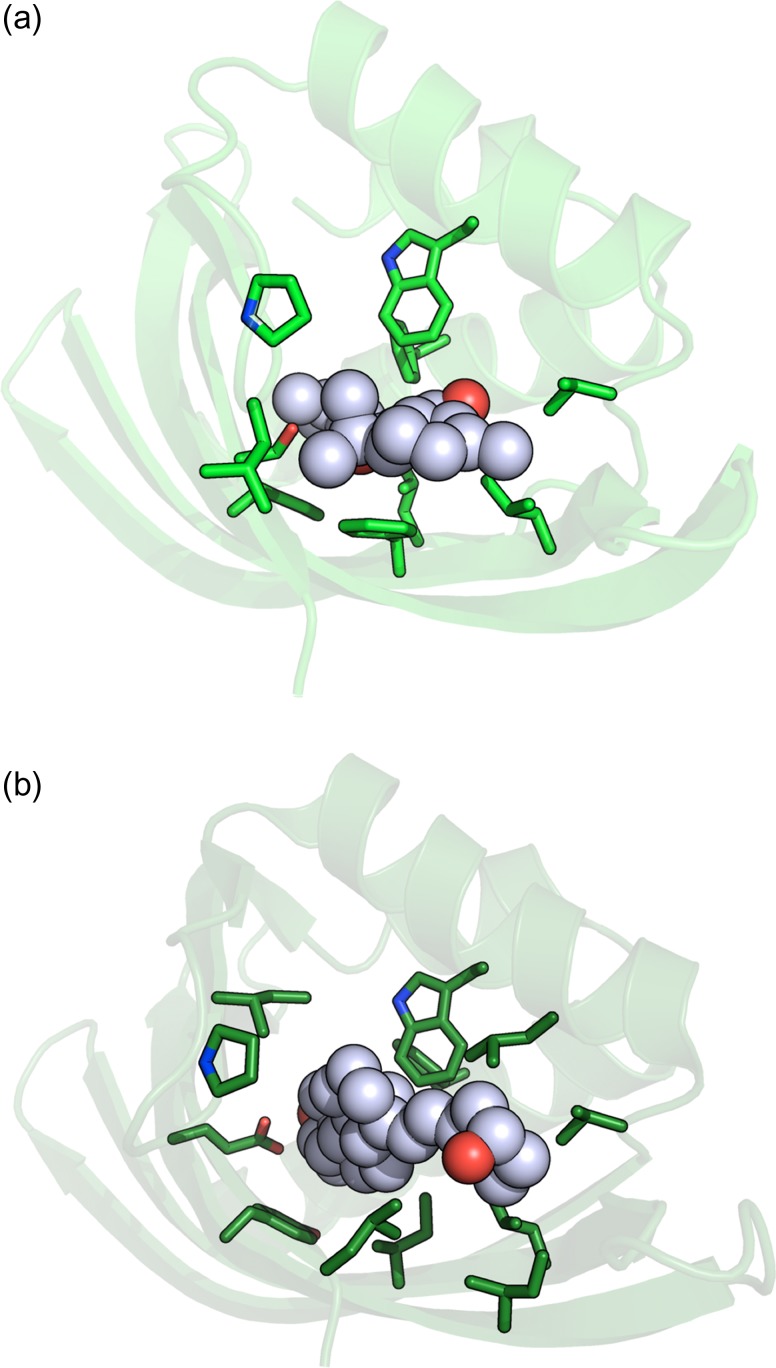 Fig. 10