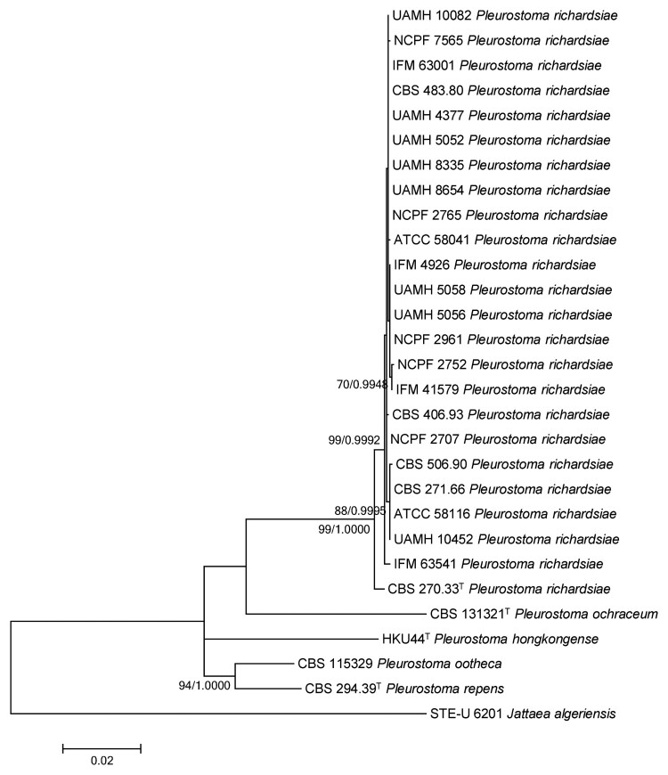 Figure 5.