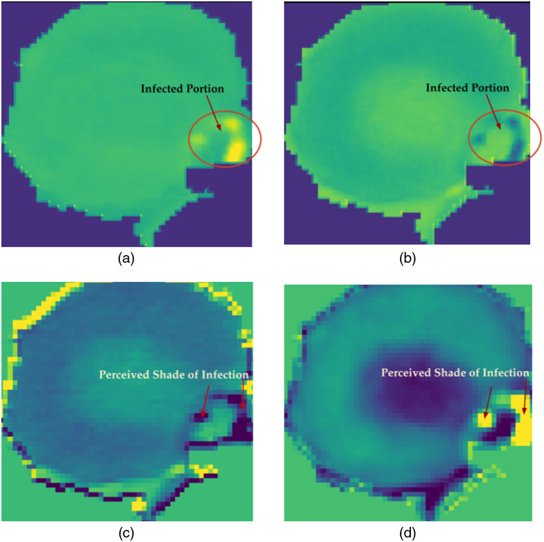 Fig. 9