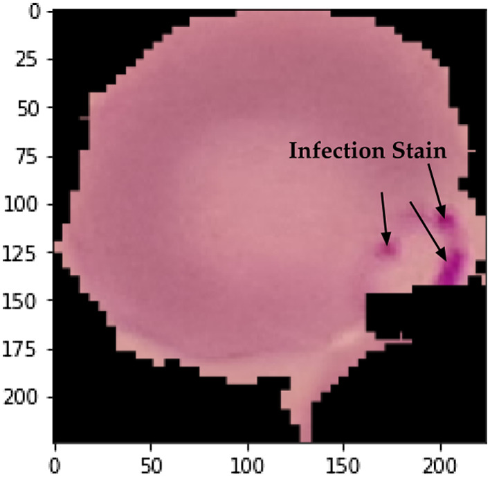 Fig. 8