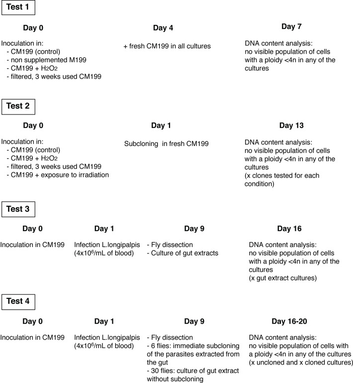 Figure 2—figure supplement 2.