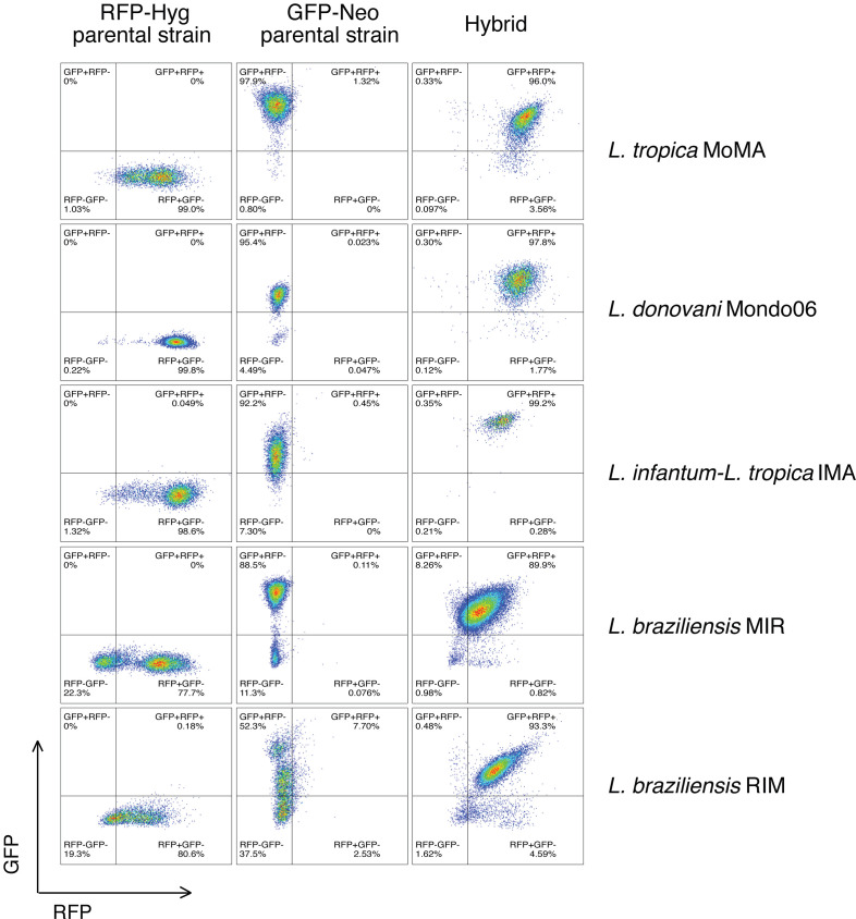 Figure 1—figure supplement 2.