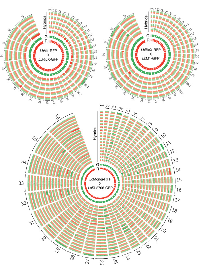 Figure 2—figure supplement 3.