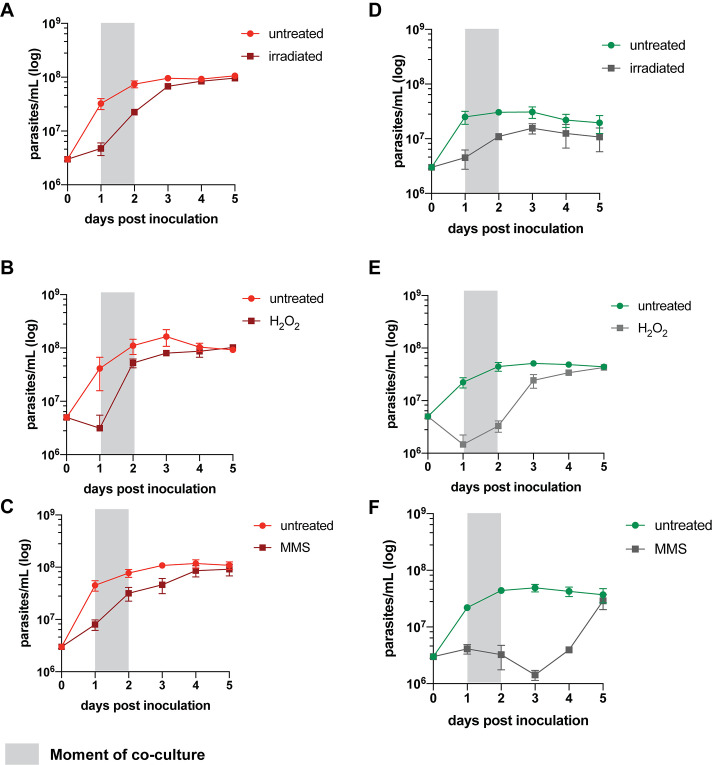 Figure 1—figure supplement 1.