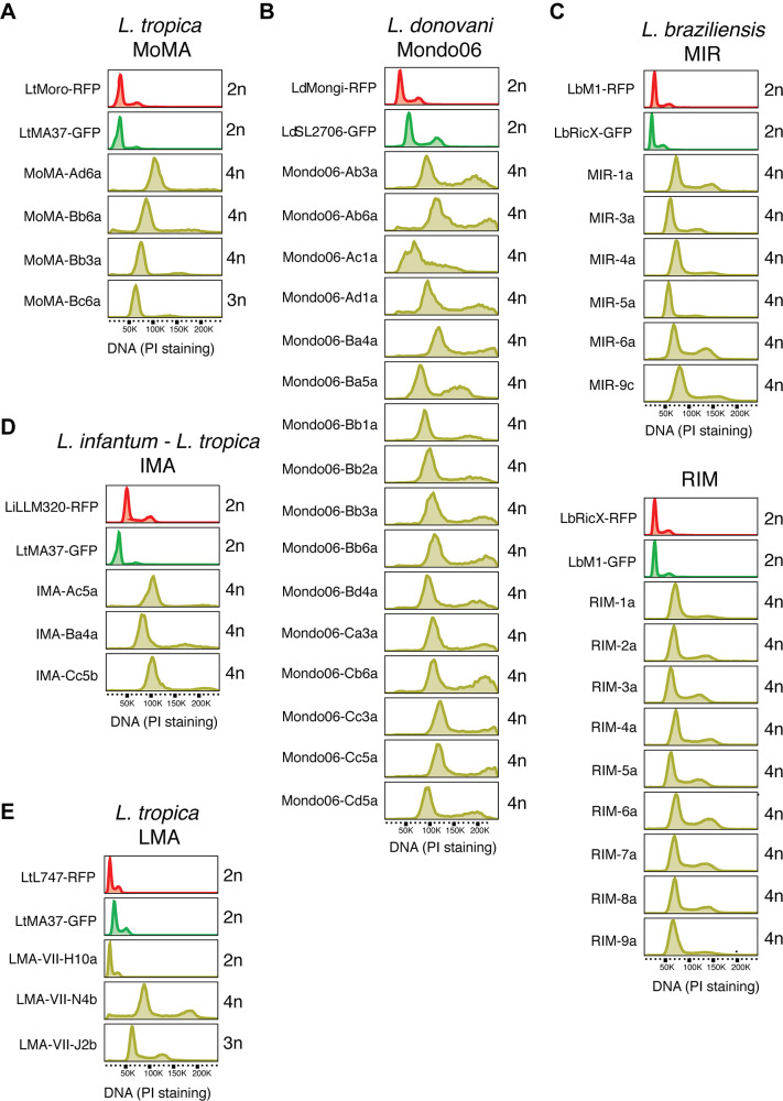 Figure 2—figure supplement 1.