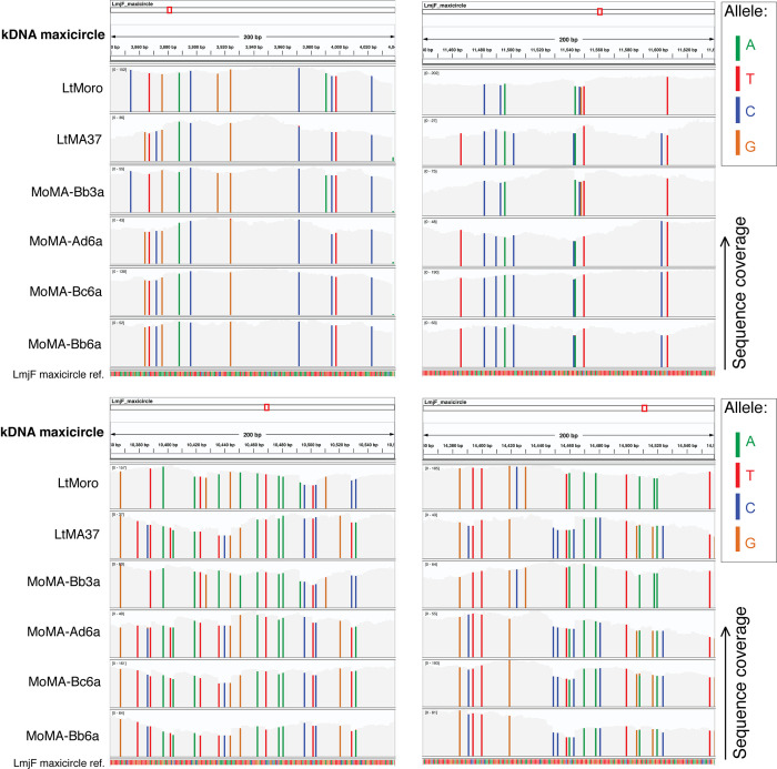 Figure 2—figure supplement 4.