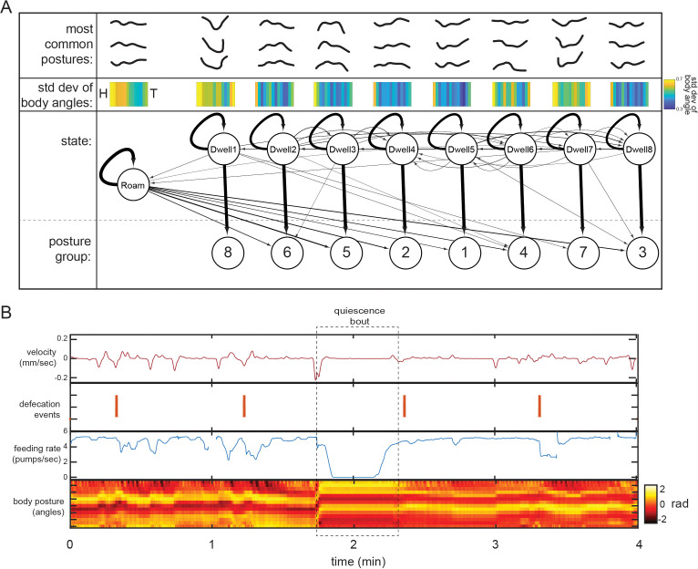 Figure 2—figure supplement 3.