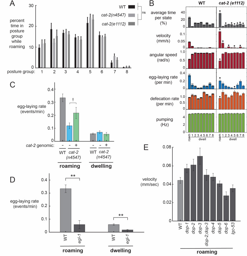 Figure 3—figure supplement 1.