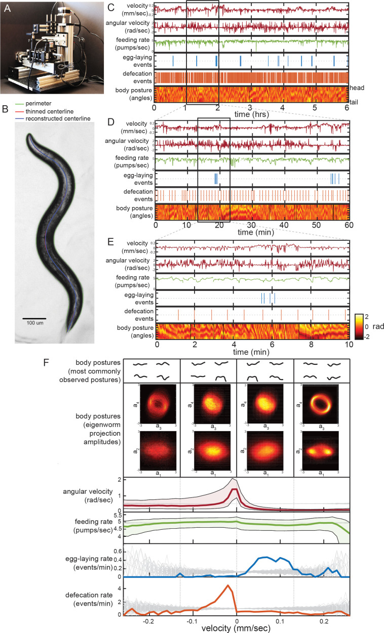 Figure 1.