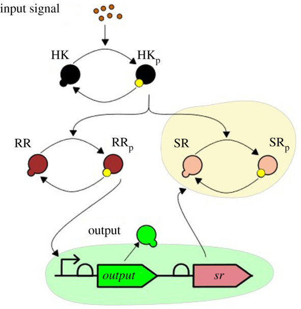 Figure 3. 