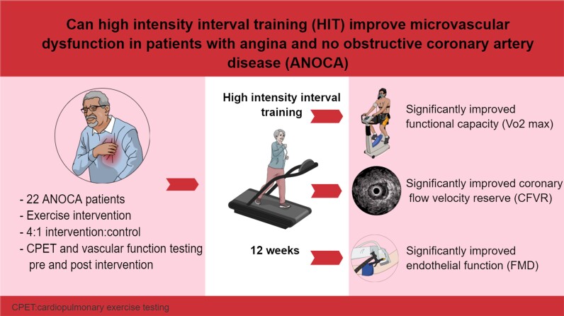 Graphical abstract