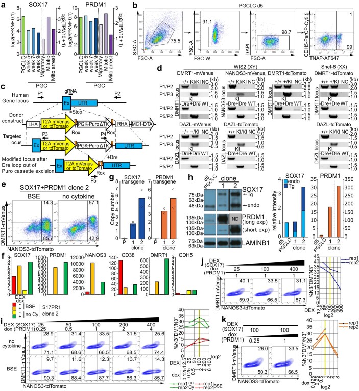 Extended Data Fig. 1