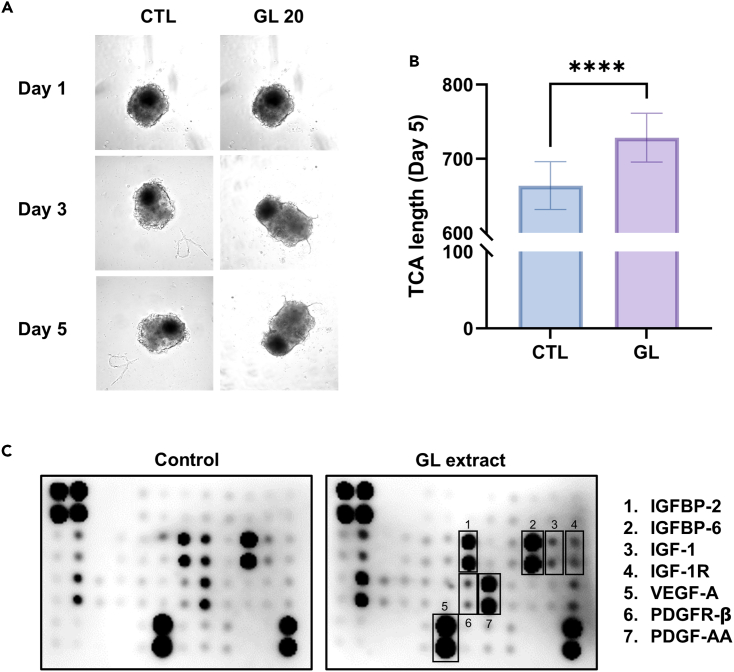 Figure 3
