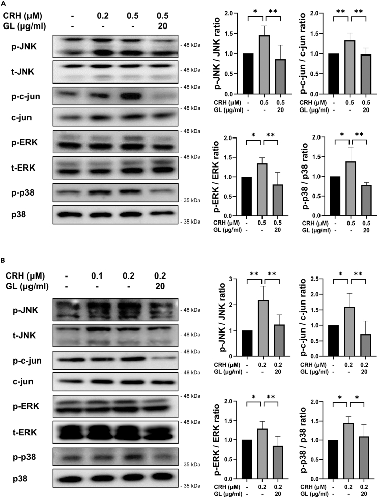 Figure 6