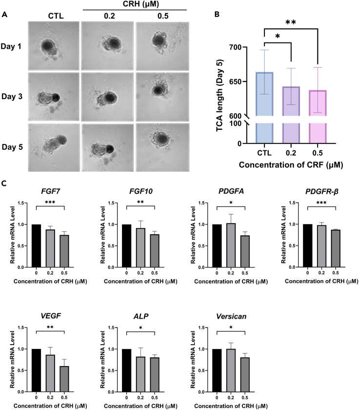 Figure 2