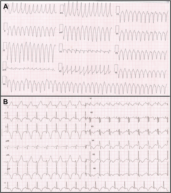 Fig. 8