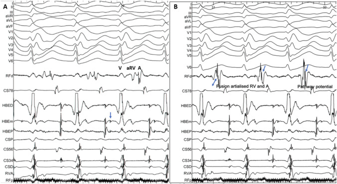 Fig. 7