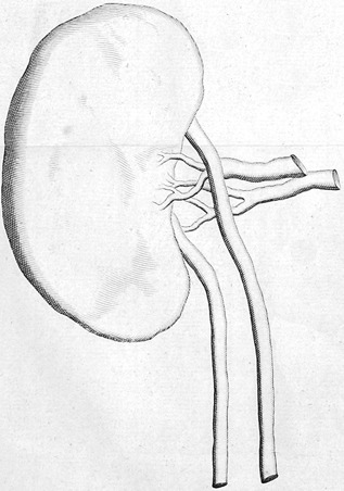 Figure 22