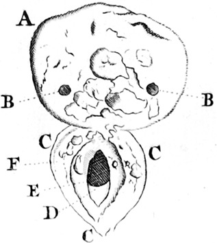 Figure 23