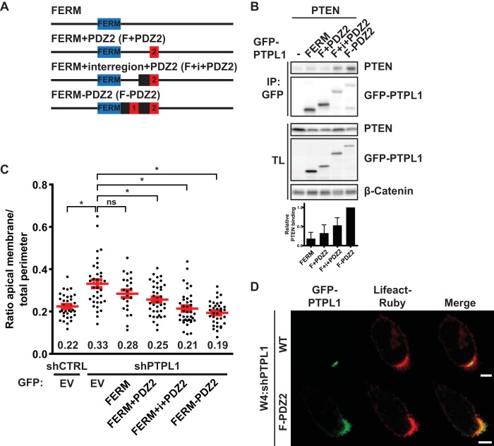 FIG 6