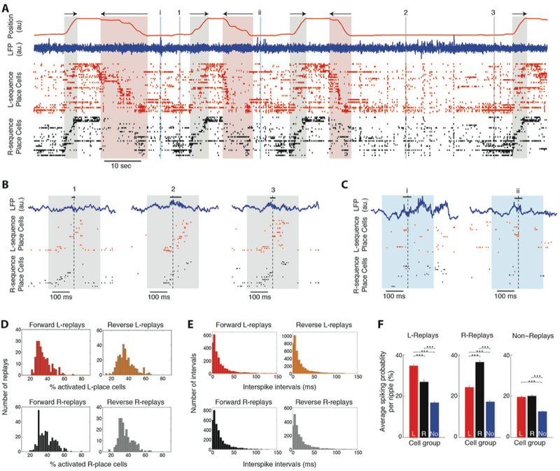 Figure 3: