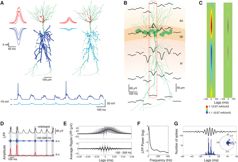 Figure 1: