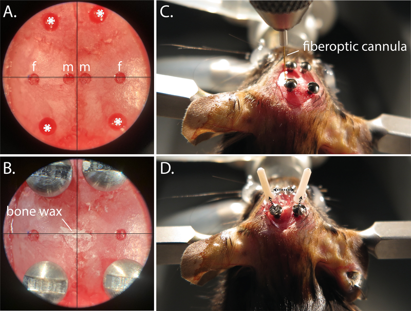 Figure 5: