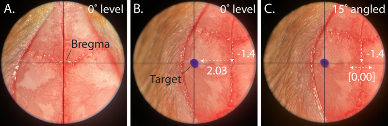 Figure 4: