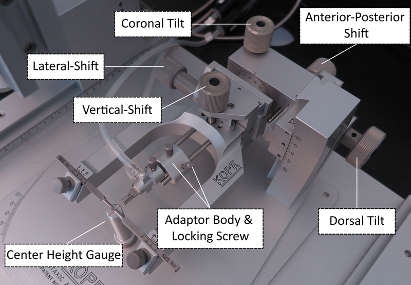 Figure 2: