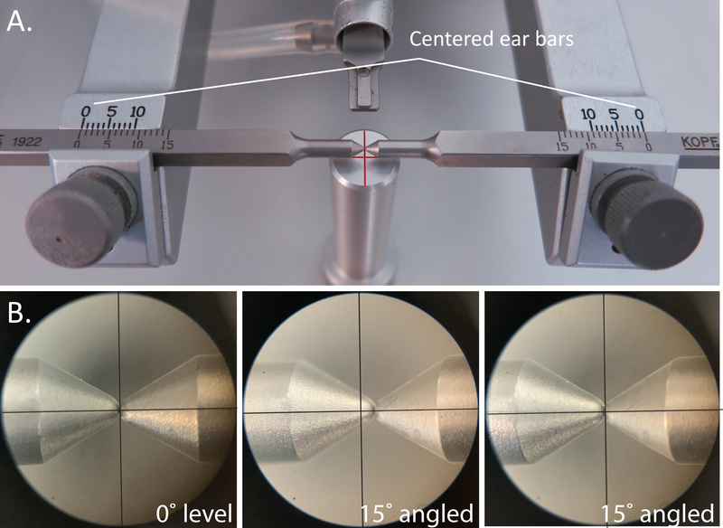 Figure 3: