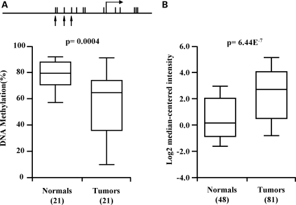 Figure 2.