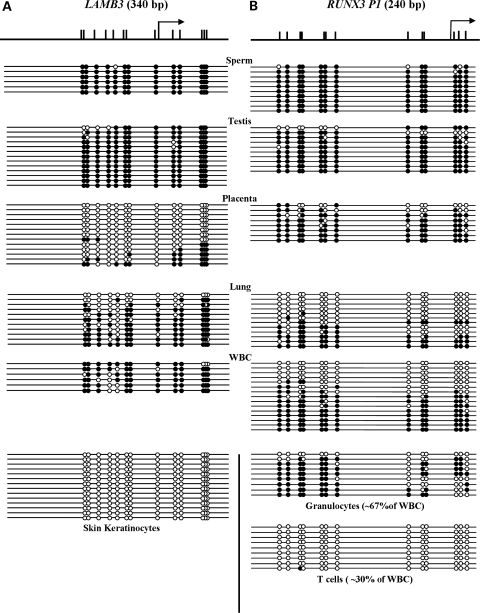 Figure 1.