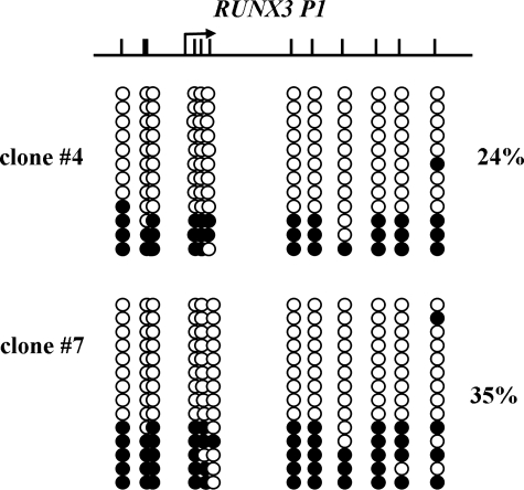 Figure 7.