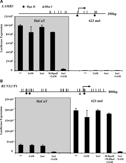 Figure 4.