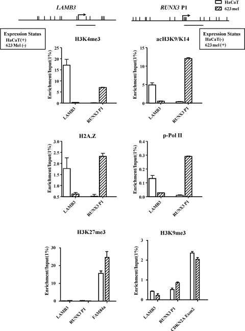 Figure 5.