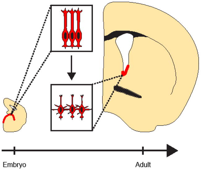 Figure 7