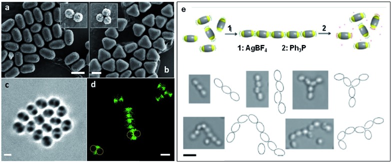 Fig. 9