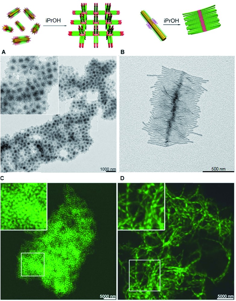 Fig. 11