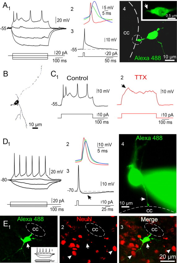 Figure 6.