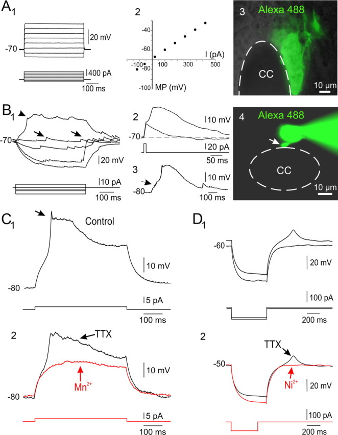 Figure 4.